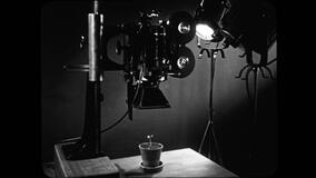 Bestiari, erbari, lapidari di Massimo d'Anolfi e Martina Parenti - Immagine dal film