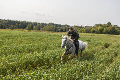 Tom Holland come Todd Hewitt in Chaos Walking