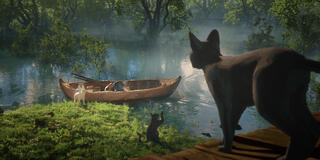 FLOW - Un mondo da salvare - Immagine dal film