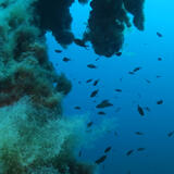 Rotta 230°. Ritorno alla terra dei padri - Foto fondale - Immagine dal set