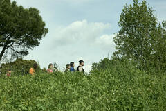 Vittorio Edet, Martina Abbate, Ciro Minopoli, Maria Esposito e Marco D'Amore in Criature