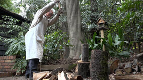 Hayao Miyazaki e l'Airone - Immagine dal film