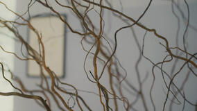 In Ultimo di Mario Balsamo - Immagine dal film