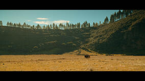 Scena da Amore e Vendetta - Zorro 1x02