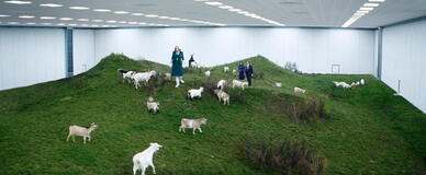 Gwendoline Christie, Britt Lower e Adam Scott in Scissione 2x03