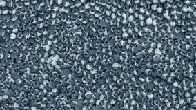 Una vista aerea del gruppo di pinguini da I segreti dei pinguini 1x01