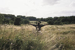 Bird di Andrea Arnold - Immagine dal film