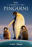 I segreti dei pinguini - Poster