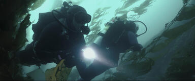 Octopus! - Immagine dal set