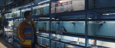 Octopus! - First Look