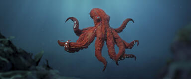 Octopus! - Immagine dal set