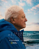 I Segreti dell'Oceano con David Attenborough - Poster