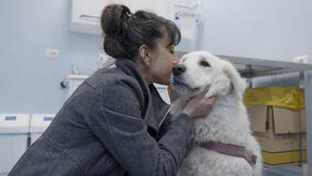 Pet anatomy 1x05 - Foto Kali