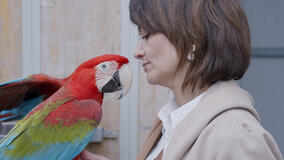 Pet anatomy 1x07 - Foto Pappagalli