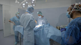 Pet anatomy 1x05 - Foto Corlazzoli Corradetti