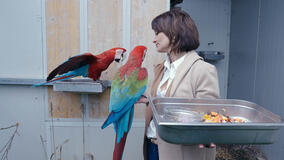 Pet anatomy 1x07 - Foto Pappagalli