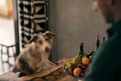 The Sandman 2x06 - Immagine dal set