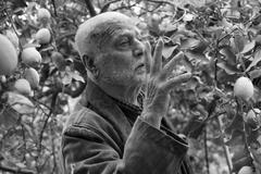 Ferdinando Scianna - Il fotografo dell'ombra di Roberto Andò - Immagine ufficiale