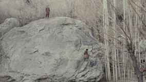 Kabul, Between Prayers di Aboozar Amini - Immagine ufficiale