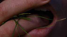 Cime Tempestose 2026 - Prima immagine ufficiale