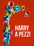 Harry a Pezzi di Woody Allen - Poster