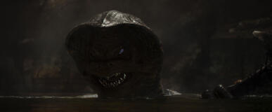 An Amani in The Mandalorian & Grogu