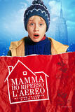 Mamma, ho perso l'aereo - Poster