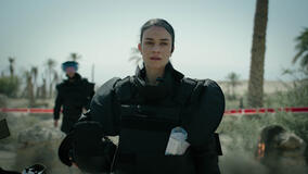 Fireflies - Immagine ufficiale