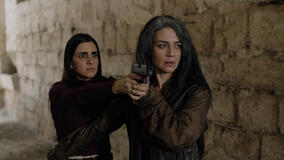 Fireflies - Immagine ufficiale