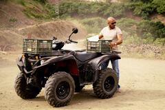 Dar Salim come Alex in Mango