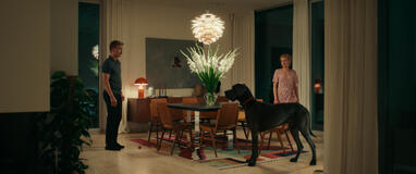 Peacock - Un uomo (quasi) perfetto - Immagine ufficiale