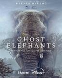 Ghost Elephants - Poster