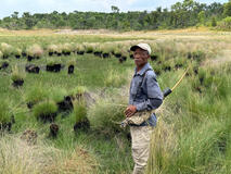 San Master Tracker Xui finds signs of the ghost elephants in a stretch of wetlands