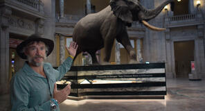 Dr. Steve Boyes stands in the rotunda of the Smithsonian Museum. He describes his emotions seeing Henry the elephant