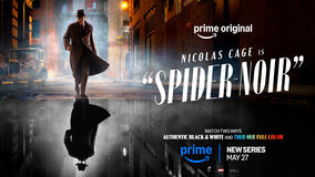 Spider-Noir - Poster orizzontale 'Combo'