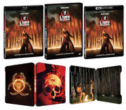 28 Anni Dopo Il Tempio delle Ossa di Nia DaCosta in DVD, Blu-ray, 4K e Steelbook 4K