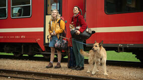 Anna Herrmann, Doga Gürer in Mangia prega abbaia