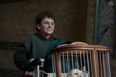 Dominic McLaughlin in Harry Potter - Stagione 1