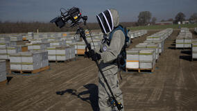 I Segreti delle Api - Immagini dal set