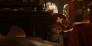 Tony Tony Chopper in One Piece - Stagione 2