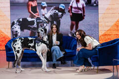 PETS - Animali del cuore con Lorella Boccia su Rai2