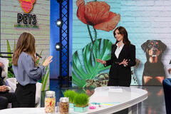 PETS - Animali del cuore con Lorella Boccia su Rai2