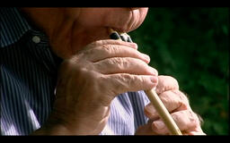 Su Maistu di Gianfranco Cabiddu - dettaglio launeddas