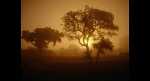 Gli ultimi giorni del Paradiso - Foto dal film