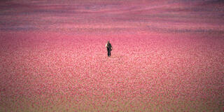 La Casa degli Spiriti - Immagine dal set