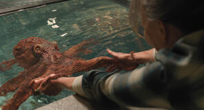Marcellus e Sally Field come Tova in Creature luminose