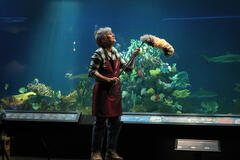 Sally Field come Tova in Creature luminose