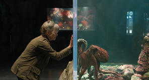 Sally Field come Tova in Creature luminose