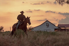 Cole Hauser come Rip Wheeler in Dutton Ranch 1x01
