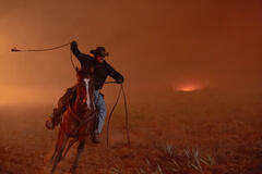 Cole Hauser come Rip Wheeler in Dutton Ranch 1x01